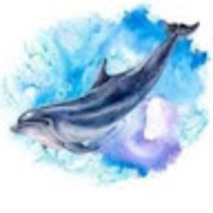 Meet your Posher, Rima